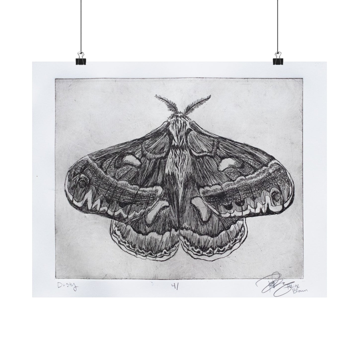 "Dusty V. 4" - Matte Print of a Copper Etching by Paige Brown