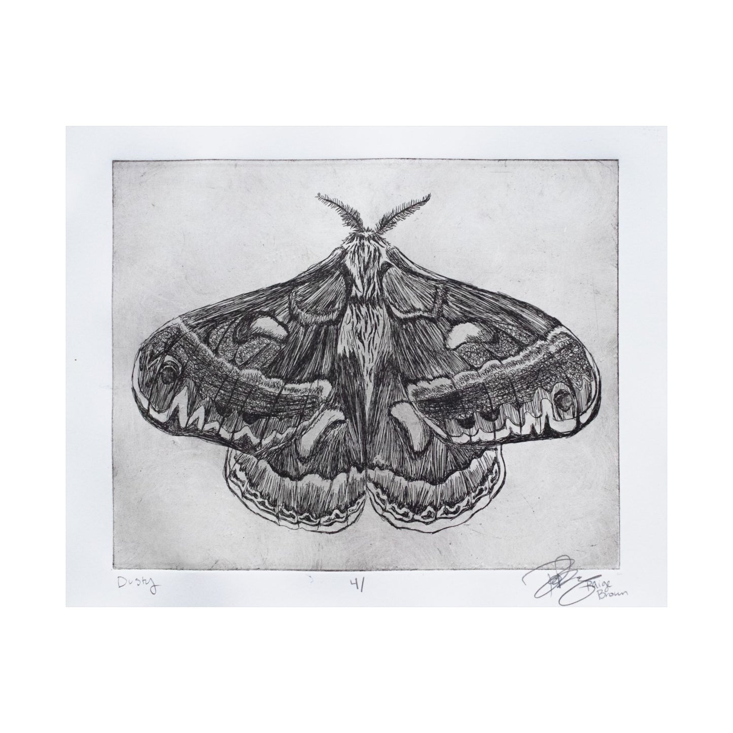 "Dusty V. 4" - Matte Print of a Copper Etching by Paige Brown