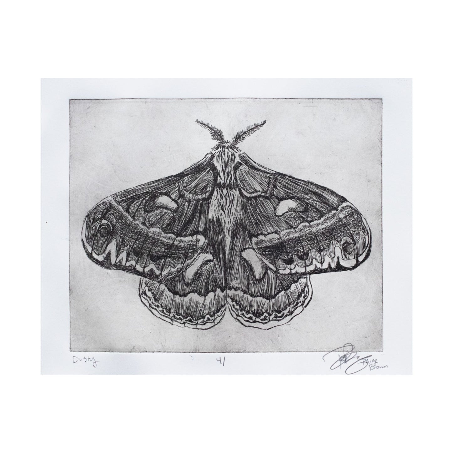 "Dusty V. 4" - Matte Print of a Copper Etching by Paige Brown