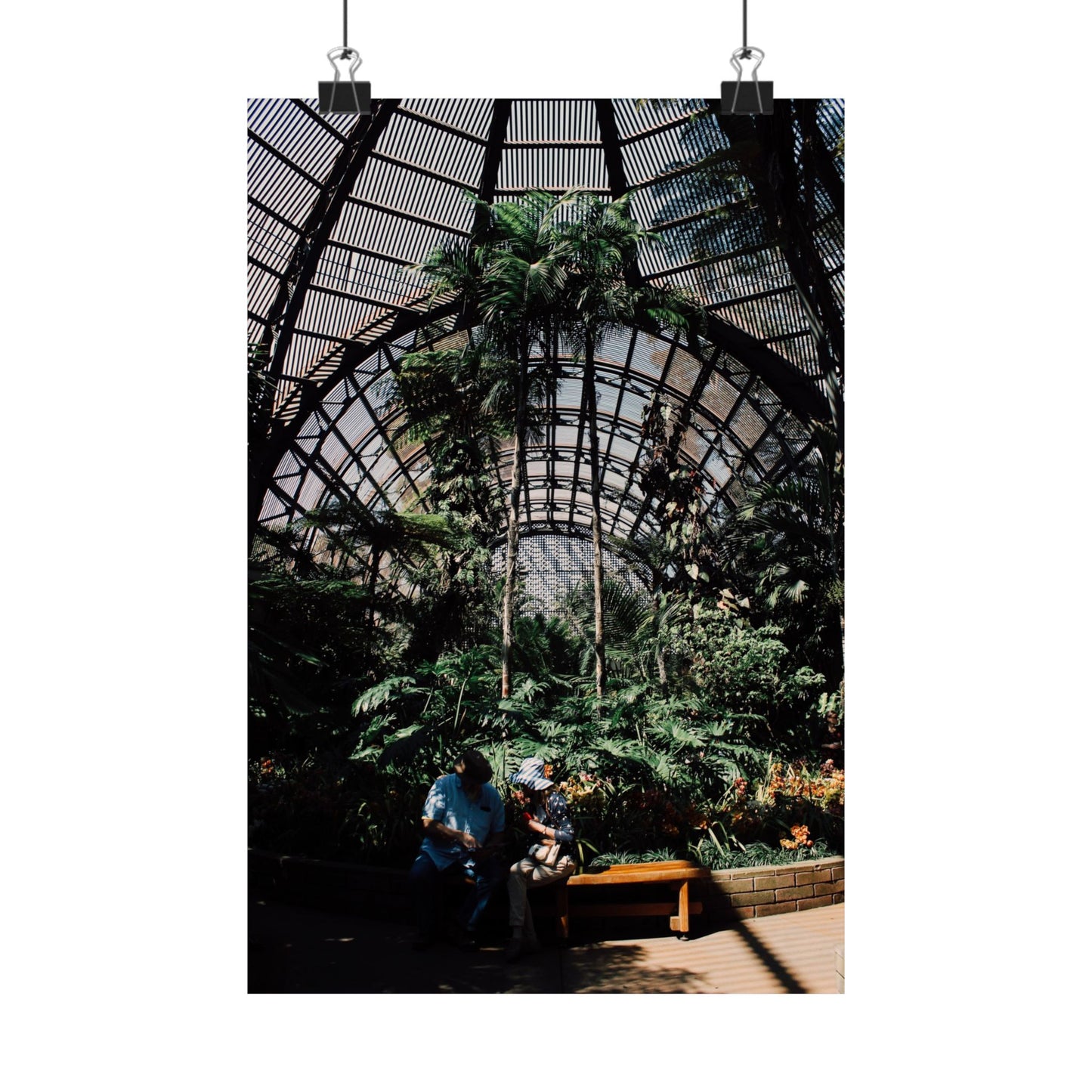 "Herbarium" Print of a photograph by Paige Brown, 2017