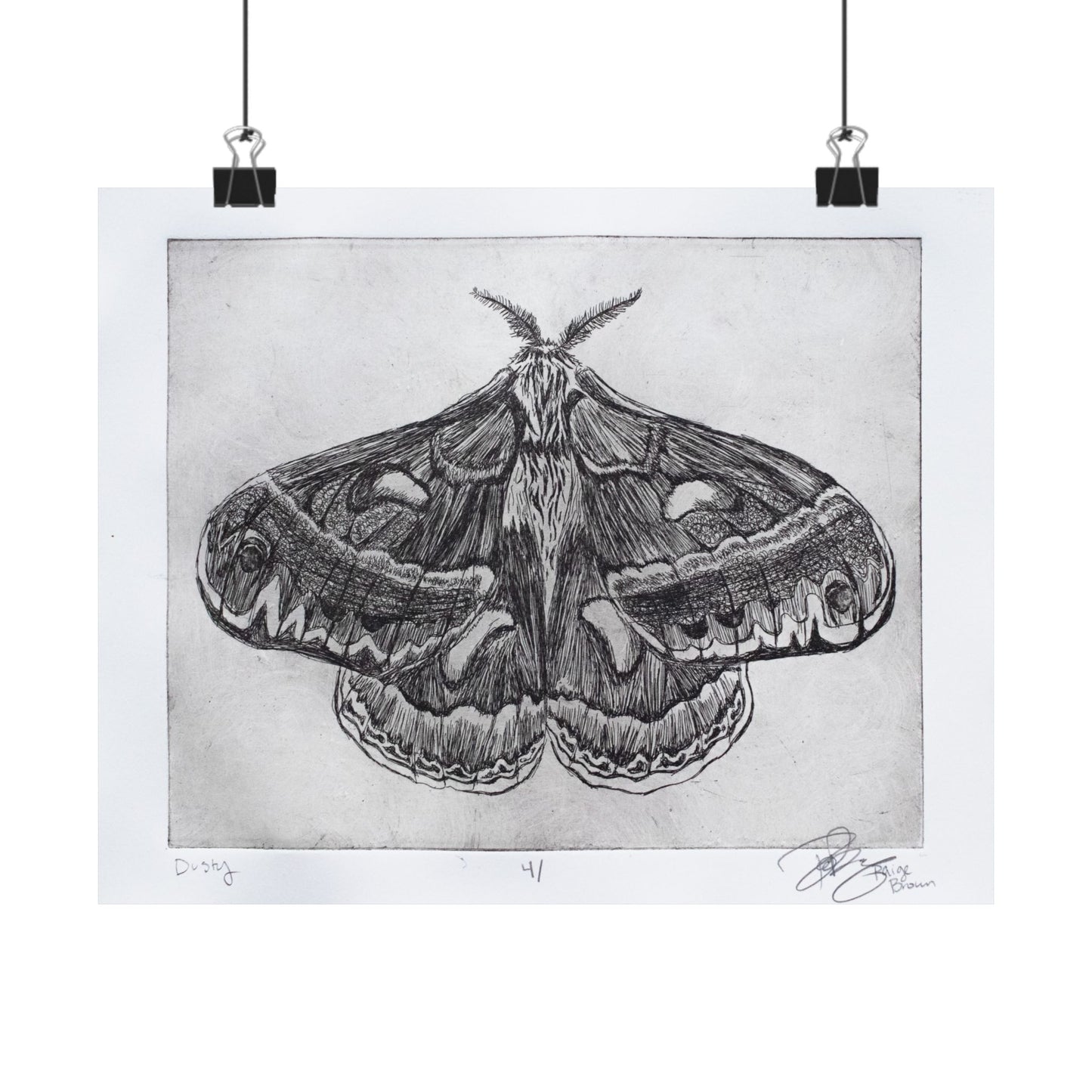 "Dusty V. 4" - Matte Print of a Copper Etching by Paige Brown