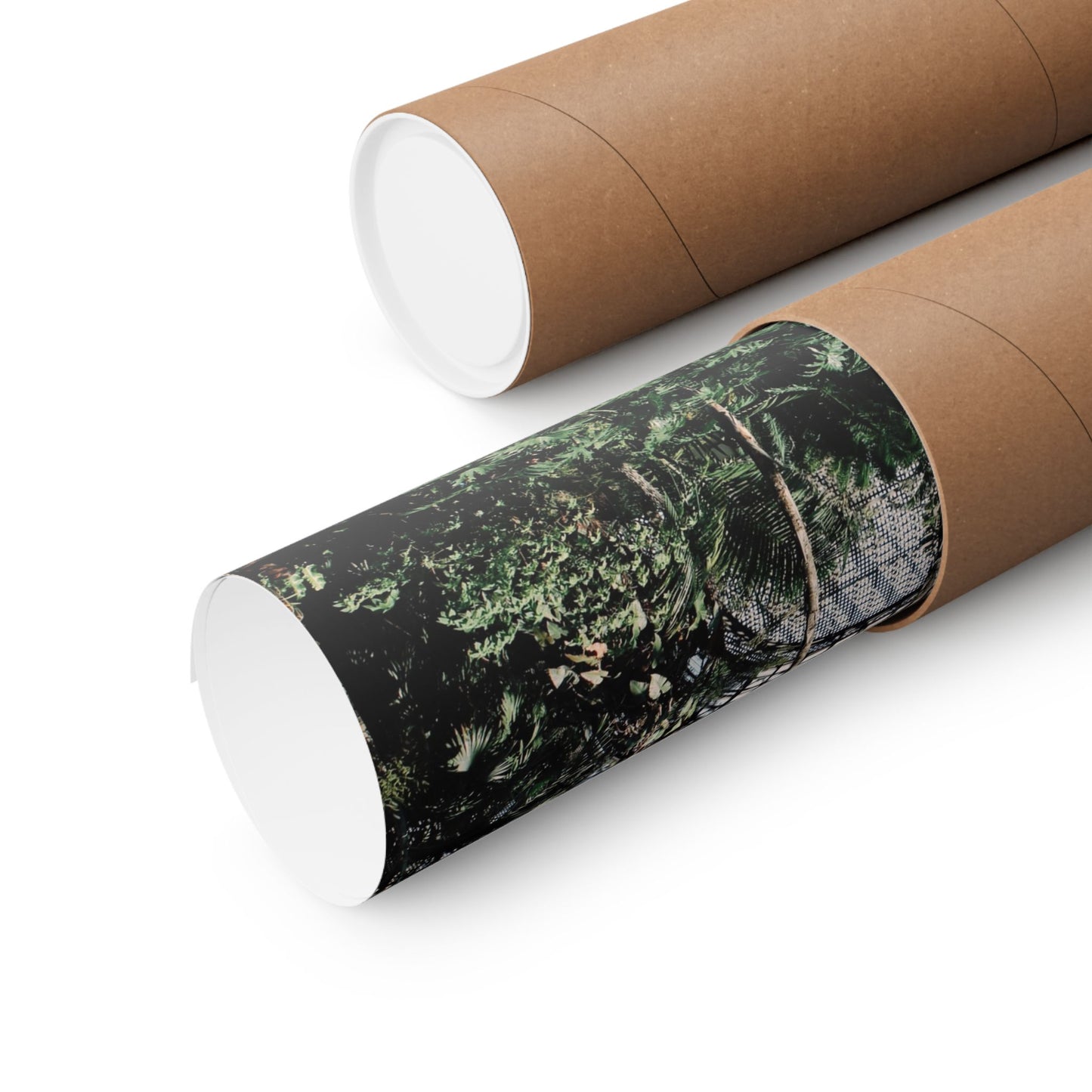 "Herbarium" Print of a photograph by Paige Brown, 2017
