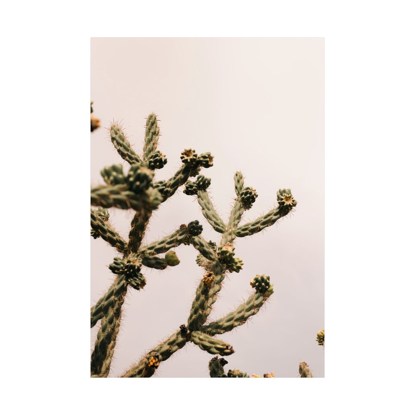 "Reaching" - Matte Poster Photo Print by Paige Brown