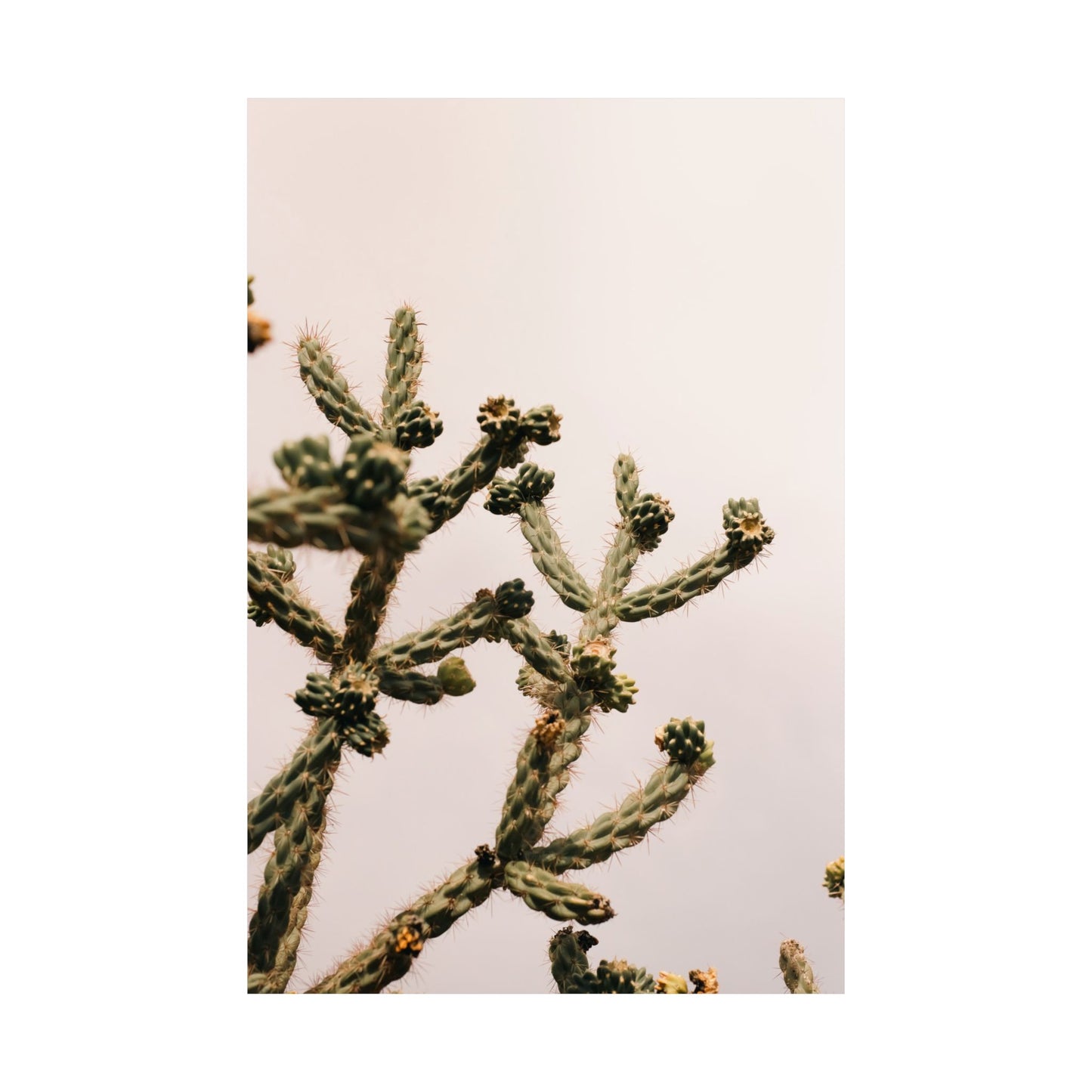 "Reaching" - Matte Poster Photo Print by Paige Brown